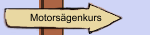 Motorsägenkurs
